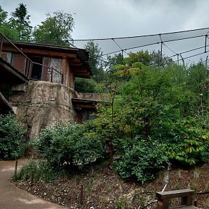 Lewa savanna - African grey parrot aviary