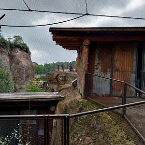 Lewa savanna - African grey parrot aviary