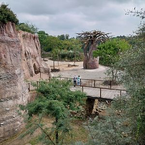 Lewa savanna - African grey parrot aviary