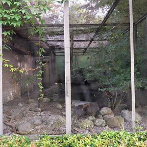 Seebach Volière - Grouse aviary