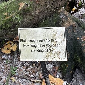 Funny Bird Sign