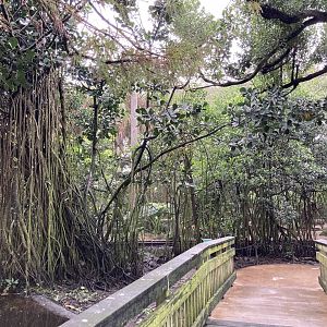Walkway with nice plantings