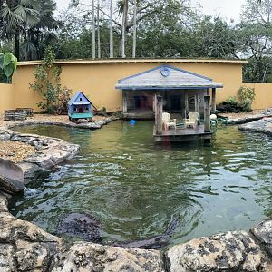 North American River Otter Exhibit (Panorama)