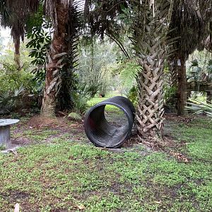“Florida Panther” Exhibit