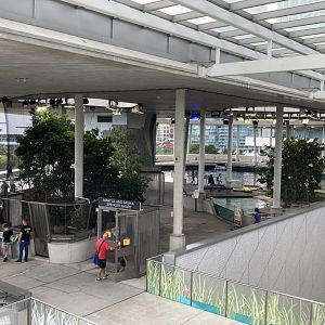 Museum Overlook View