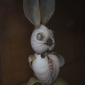 Oyster Bunny, Picton Heritage & Whaling Museum
