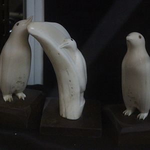Sculptures of penguins carved from whale teeth, Picton Heritage & Whaling Museum