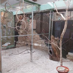 Red-collared lorikeet (left) and dusky lory (right) aviary