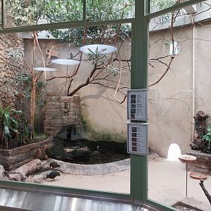 Mixed species aviary