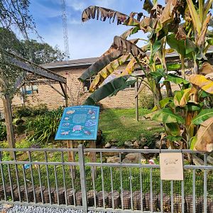 Environmental Studies Center (AL) - Turtle pond exhibit