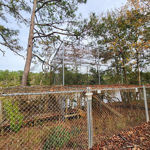 Environmental Studies Center (AL) - Raccoon enclosure