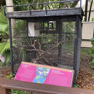 Cotton Top Tamarin Cage