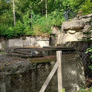Wildpark Langenberg - Eurasian brown bear enclosure