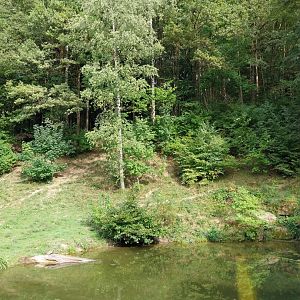 Wildpark Langenberg - Eurasian brown bear enclosure