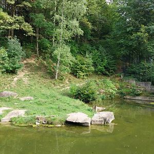Wildpark Langenberg - Eurasian brown bear enclosure