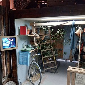 Wildpark Langenberg - Müsli-Hüsli Haus - Fat dormouse exhibit