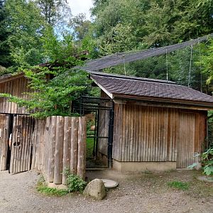 Wildpark Langenberg - Wildkatzenhaus