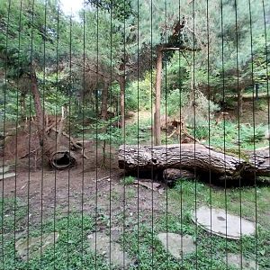 Wildpark Langenberg - Wildkatzenhaus