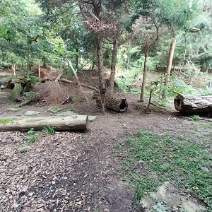 Wildpark Langenberg - Wildkatzenhaus