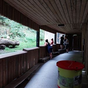 Wildpark Langenberg - Wildkatzenhaus - Visitors gallery