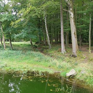 Wildpark Langenberg - Moose enclosure