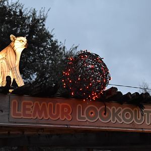 Decorated Lemur Lookout