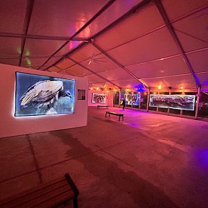 Holocene Art Exhibit