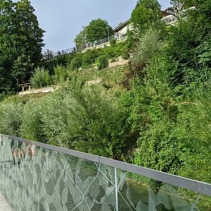 Another view from the path