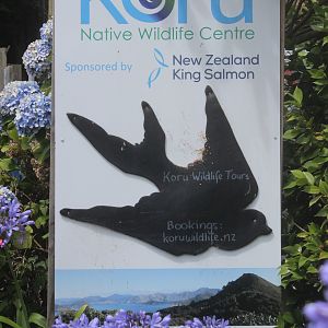 Entrance signage, Koru Native Wildlife Centre