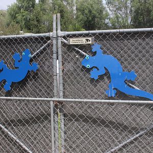 Entrance gate, Koru Native Wildlife Centre