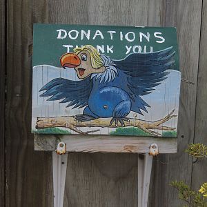 Donation box, Koru Native Wildlife Centre