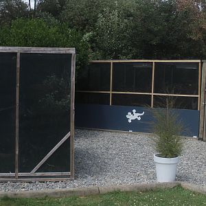 Enclosures for native geckos, Koru Native Wildlife Centre