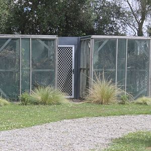 Breeding aviaries for Yellow-crowned Kakariki, Koru Native Wildlife Centre