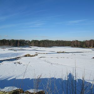 01 2024 - Safari in the snow