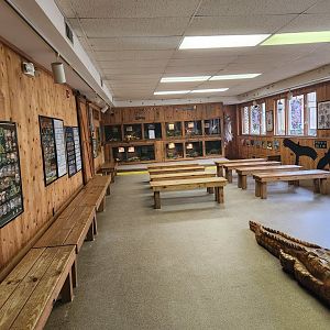 Dauset Trails - Reptile room