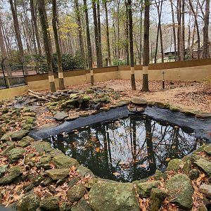 Dauset Trails - River otter enclosure