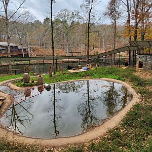 Dauset Trails - Bear enclosure