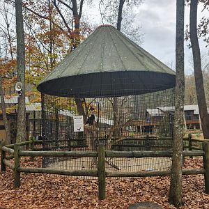 Dauset Trails - Bird of prey cage type