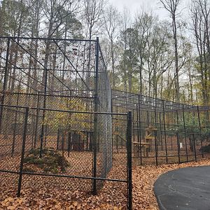 Dauset Trails - Bobcat enclosure