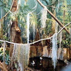 Swamp Exhibit 1970s