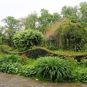 Rose garden, 2023-05-15