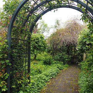 Rose garden, 2023-05-15