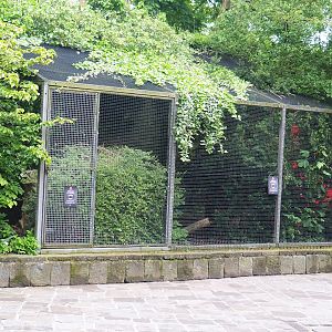Eurasian eagle-owl aviary, 2023-05-15
