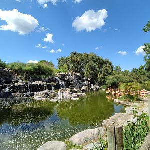 Caribbean flamingo exhibit - Temaiken