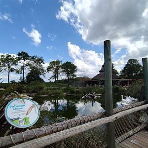 Great white pelican exhibit - Temaiken