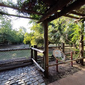 Burchell's zebra exhibit - Temaiken