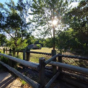Burchell's zebra exhibit - Temaiken