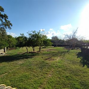 Eland antelope exhibit - Temaiken