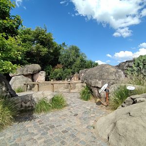 Meerkat exhibit - Temaiken