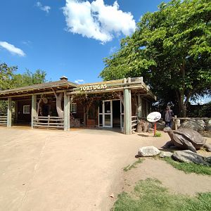 African tortoises indoor exhibit - Temaiken